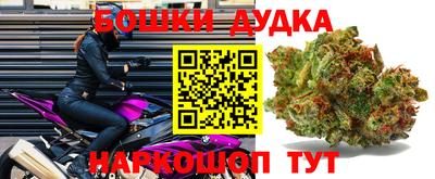 стаф Волгодонск