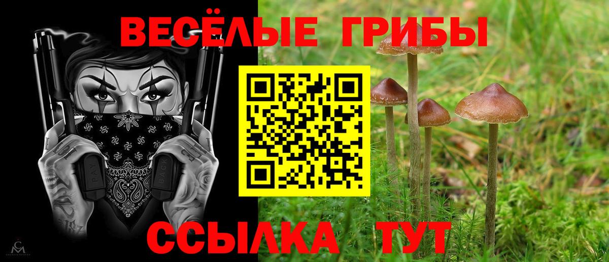 Галлюциногенные грибы Magic Shrooms  Вход с VPN  Асино  Галлюциногенные грибы GOLDEN TEACHER 